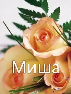 Картинки з ім'ям миша, михайло, картинки з іменами (ім'ям) Картинки з ім'ям миша, михайло, картинки з іменами