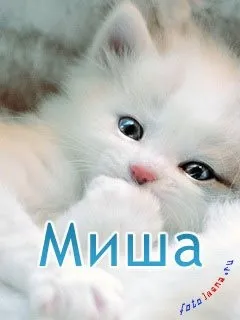 Картинки з ім'ям миша, михайло, картинки з іменами (картинки) Картинки з ім'ям миша, михайло, картинки з іменами