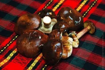 Картопля з грибами - смачне сезонне блюдо для сніданку