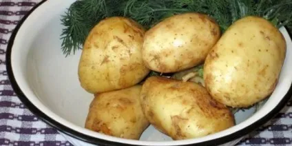 Картопля з грибами в духовці (з куркою, в сметані) рецепти (грибами) Картопля з грибами в духовці (з куркою, в сметані) рецепти