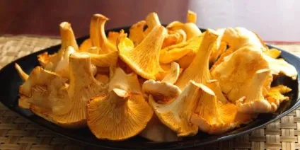 Картопля з грибами в духовці (з куркою, в сметані) рецепти (куркою) Картопля з грибами в духовці (з куркою, в сметані) рецепти