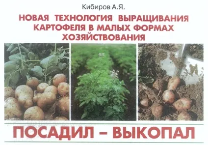 Картопля - посадив, і викопав