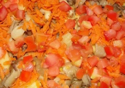 Картопля з куркою і грибами в духовці під сметаною, як готувати, страви (томати) Картопля з куркою і грибами в духовці під сметаною, як готувати, страви