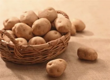 Картопляний сік користь і шкода (картопляний) Картопляний сік користь і шкода