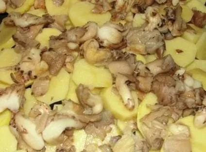 Картопля з куркою і грибами в духовці під сметаною, як готувати, страви (духовці) Картопля з куркою і грибами в духовці під сметаною, як готувати, страви