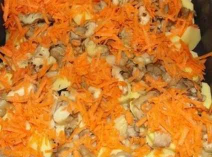 Картопля з куркою і грибами в духовці під сметаною, як готувати, страви (деко) Картопля з куркою і грибами в духовці під сметаною, як готувати, страви