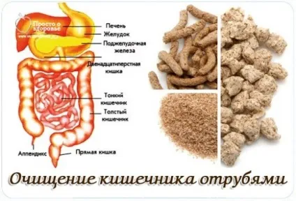 Очищення кишечника висівками - як приймати (кишечника) Очищення кишечника висівками - як приймати