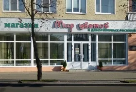 Кипарисовик мікс (коніферен) - КПУП «могілевзеленстрой» (КПУП) Кипарисовик мікс (коніферен) - КПУП «могілевзеленстрой»