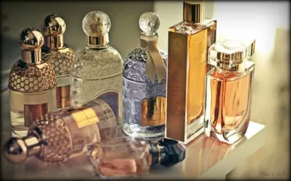 До чого сняться духи сонник, жіночі, вибирати, купувати, нюхати, запах, у флаконі, парфум, бачити, (духи) До чого сняться духи сонник, жіночі, вибирати, купувати, нюхати, запах, у флаконі, парфум, бачити,