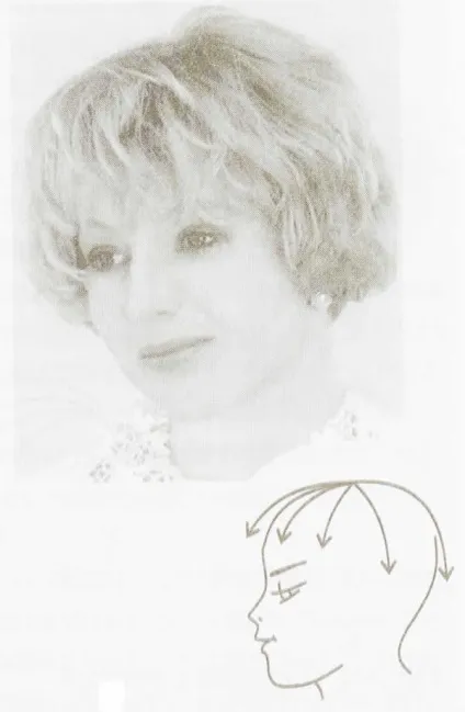 Класифікація зачісок