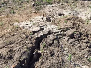 Коефіцієнт ущільнення грунту (щільність) частинок, скелета, сухого ґрунту (щільність) Коефіцієнт ущільнення грунту (щільність) частинок, скелета, сухого ґрунту