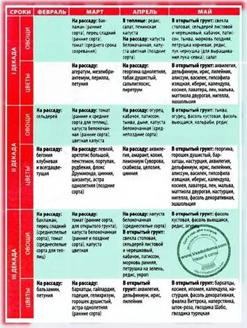 Коли і що сіяти - календар посіву насіння, сайт про сад, дачі і кімнатних рослинах (насіння) Коли і що сіяти - календар посіву насіння, сайт про сад, дачі і кімнатних рослинах
