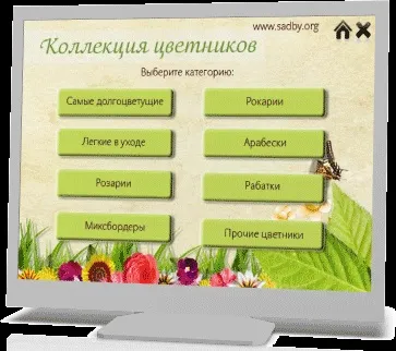 Колекція авторських квітників (квітників) Колекція авторських квітників