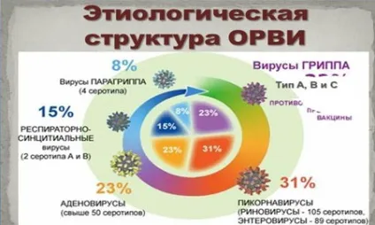 Коли можна гуляти з дитиною після хвороби (гуляти) Коли можна гуляти з дитиною після хвороби