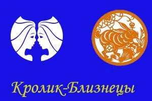 Кот-близнюки, ворожіння