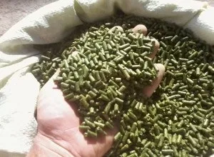 Годування кроликів комбікормом - основи організації харчування (основи) Годування кроликів комбікормом - основи організації харчування
