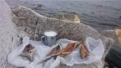 Коптильня холодного копчення в похідних умовах (холодного) Коптильня холодного копчення в похідних умовах
