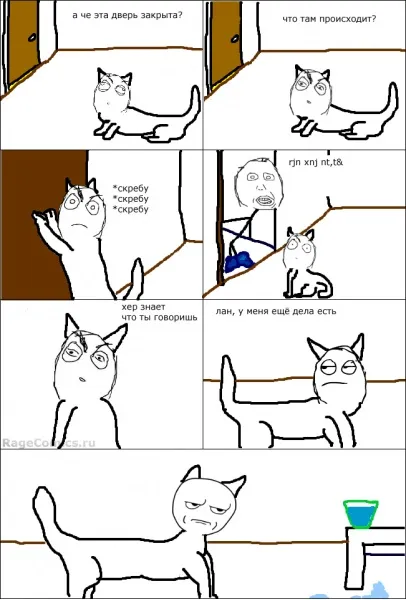 Коти і двері