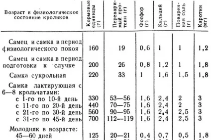 Годування кроликів комбікормом - основи організації харчування (кроликів) Годування кроликів комбікормом - основи організації харчування
