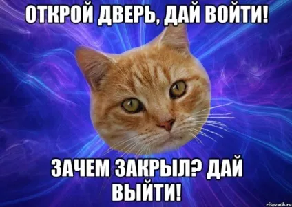 Коти і двері