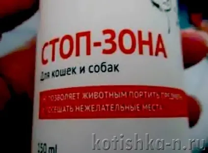 Кішка дере диван, як відучити кішку псувати м'які меблі (диван) Кішка дере диван, як відучити кішку псувати м'які меблі