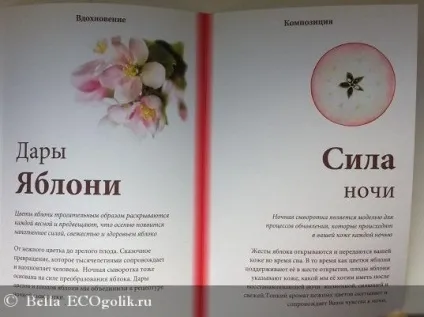Концепція косметики hka