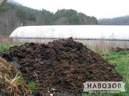 Коров'ячий гній як добриво