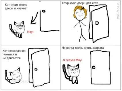 Коти і двері