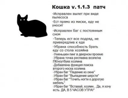 Коти і двері
