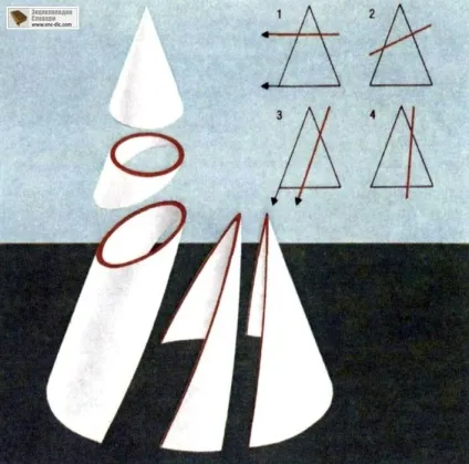 Конус - енциклопедії & amp; словники (conus грец konos) Конус - енциклопедії & amp; словники