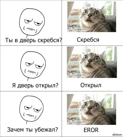 Коти і двері