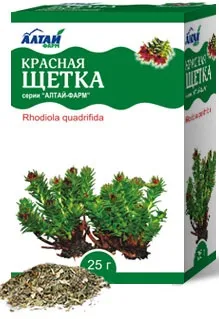Червона щітка при мастопатії відгуки та застосування (щітка) Червона щітка при мастопатії відгуки та застосування