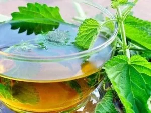 Кропива при місячних користь фітотерапії, вплив на менструацію (місячних) Кропива при місячних користь фітотерапії, вплив на менструацію