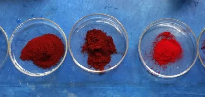 Барвник кармін і жучки кошеніль, наука і життя (кошеніль) Барвник кармін і жучки кошеніль, наука і життя