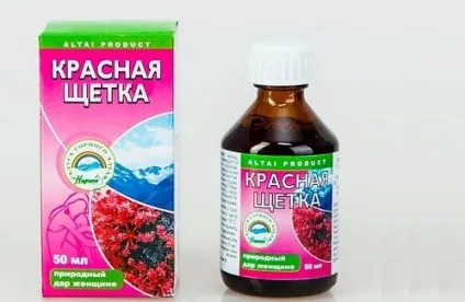 Червона щітка при мастопатії ефективні рецепти для лікування (щітка) Червона щітка при мастопатії ефективні рецепти для лікування