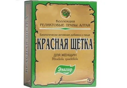 Червона щітка при мастопатії ефективні рецепти для лікування (основі червоної щітки) Червона щітка при мастопатії ефективні рецепти для лікування