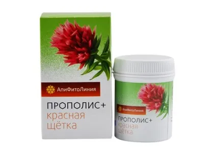 Червона щітка при мастопатії ефективні рецепти для лікування (жіночої статевої сфери) Червона щітка при мастопатії ефективні рецепти для лікування