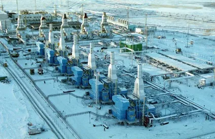 Найбільші родовища газу вУкаіни, vivareit (родовища) Найбільші родовища газу вУкаіни, vivareit