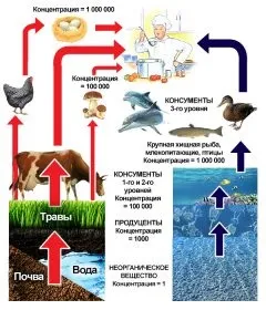 Кумуляція, довідник