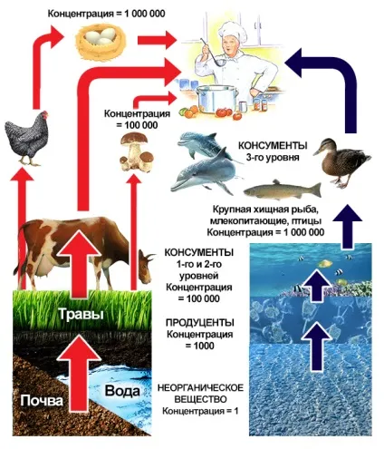 Кумуляція, довідник