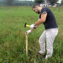 Чагарник ірга фото і опис, як посадити і вирощувати іргу, рецепти з ягід ірги (ірга) Чагарник ірга фото і опис, як посадити і вирощувати іргу, рецепти з ягід ірги