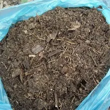 Чагарник ірга фото і опис, як посадити і вирощувати іргу, рецепти з ягід ірги (ірга) Чагарник ірга фото і опис, як посадити і вирощувати іргу, рецепти з ягід ірги