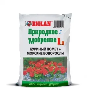 Курячий послід як добриво особливості приготування підгодівлі і відгуки садівників (особливості) Курячий послід як добриво особливості приготування підгодівлі і відгуки садівників