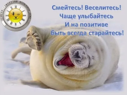 Курячі шийки фаршировані, улюблені страви (шийки) Курячі шийки фаршировані, улюблені страви