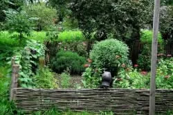 Ландшафтний дизайн в селі дещо відрізняється від інших стилів оформлення (фото) (ландшафтний) Ландшафтний дизайн в селі дещо відрізняється від інших стилів оформлення (фото)