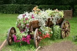 Ландшафтний дизайн в селі дещо відрізняється від інших стилів оформлення (фото) (селі) Ландшафтний дизайн в селі дещо відрізняється від інших стилів оформлення (фото)