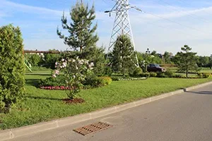 Ландшафтний дизайн скверу (малих архітектурних форм) Ландшафтний дизайн скверу