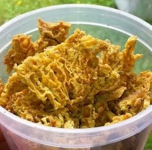 Лікування геморою прополісом настойки, свічки, примочки з прополісу