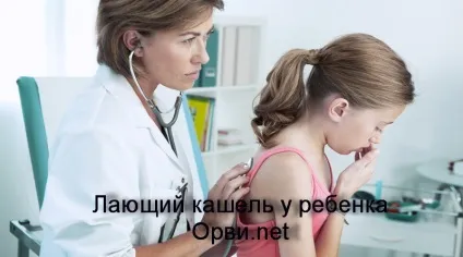Гавкаючий кашель у дитини лікування, симптоми, причини, профілактика (гавкаючий кашель у дитини без температури лікування) Гавкаючий кашель у дитини лікування, симптоми, причини, профілактика