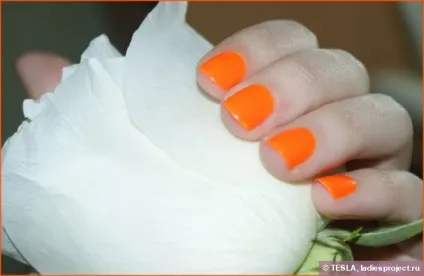 Лак для нігтів (відтінок № 113 orange sunset) від style pen - відгуки, фото і ціна (мас-маркет) Лак для нігтів (відтінок № 113 orange sunset) від style pen - відгуки, фото і ціна